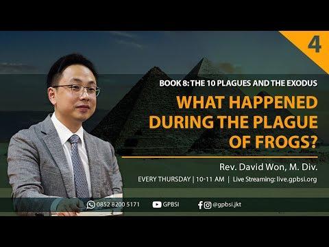 What Happened During the Plague of Frogs? | Exodus 8:1-15