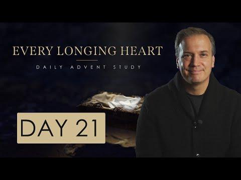 Advent Day 21 | Luke 2:22-38 | Christmas Bible Study