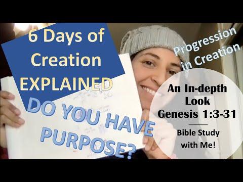 6 Days of Creation Explained | Genesis 1:3-31 | Interactive Bible Study