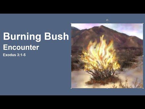 Burning Bush Encounter( Exodus 3:1-5) FJCC Sunday Worship - August 21, 2022
