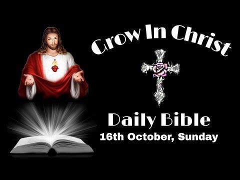 16th October, Sunday// 1st Reading- Exodus 17:8-13// Gospel-Luke 18:1-8//Daily Bible????✝️