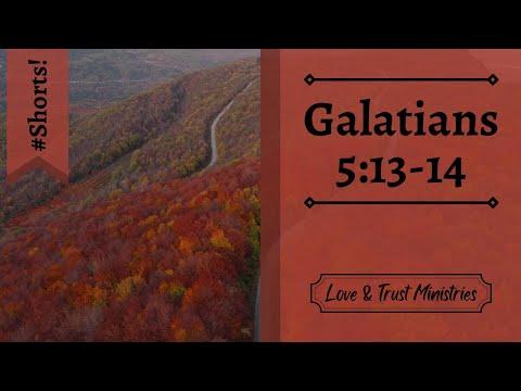 Love Your Neighbor as Yourself! | Galatians 5:13-14 | October 20th | Rise and Shine Shorts