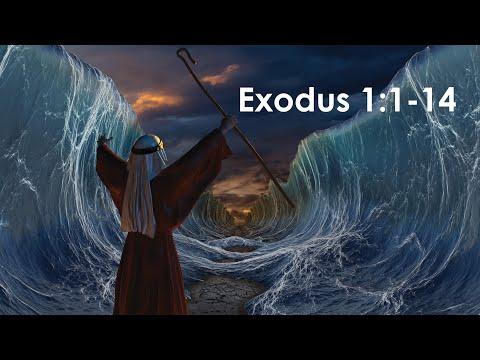 Exodus 1:1-14 Bible Deep Dive