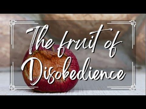 The fruit of Disobedience | Pastor Bezaleel Cummings | 1 Sam. 28:3-20
