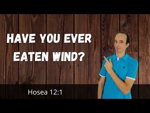 Chasing The World Is Like Eating Wind - Hosea 12:1