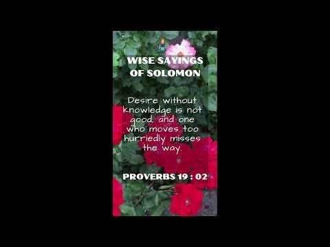 Proverbs 19:2 | NRSV Bible - Wise Sayings of Solomon