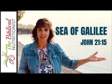 Sea Of Galilee John 21:15  Have You Forgiven Yourself?