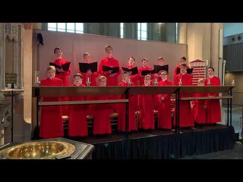 Psalm 119 : 49- 64 - Kampen Boys Choir - Bovenkerk Kampen