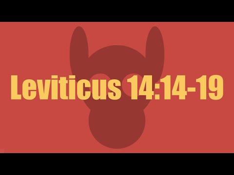 Leviticus 14:14-19