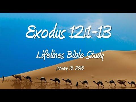 Exodus 12:1-13 Bible Study