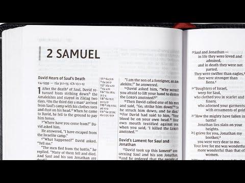 The Father Better Than David, 2 Samuel 18:5-15, 31-33, August 8, 2021