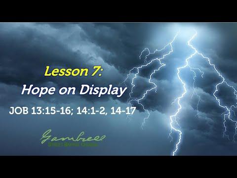 Hope on Display - Job 13:15-16; 14:1-2, 14-17