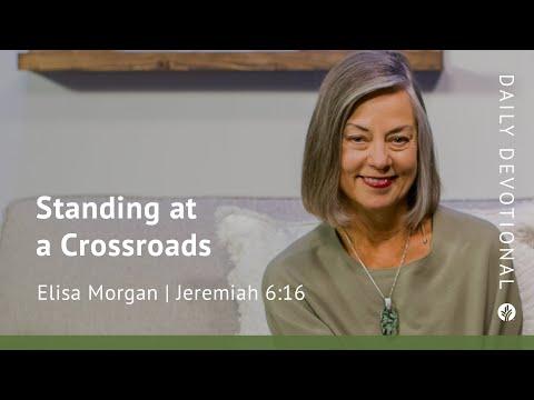 Standing at a Crossroads | Jeremiah 6:16 | Our Daily Bread Video Devotional