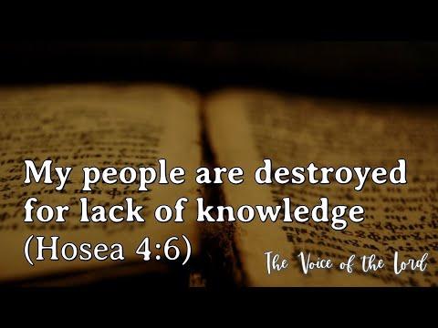 Hosea 4:6 The Voice of the Lord  August 18, 2022 by Pastor Teck Uy