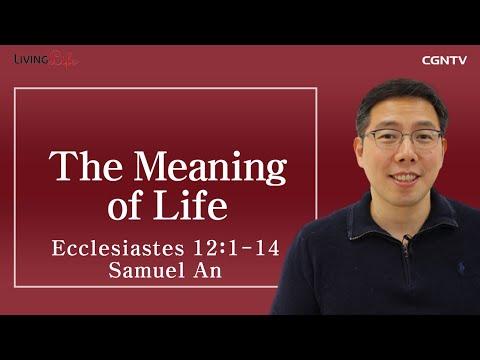[Living Life] 12.31 The Meaning of Life (Ecclesiastes 12:1-14) - Daily Devotional Bible Study