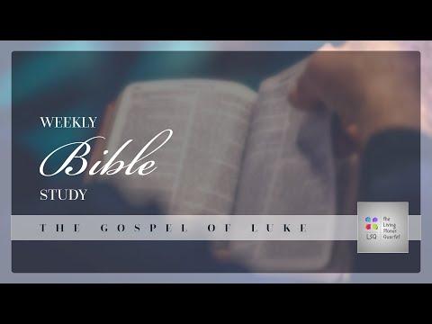 Gospel of Luke | Luke 3 : 19 - 38 | Session 11