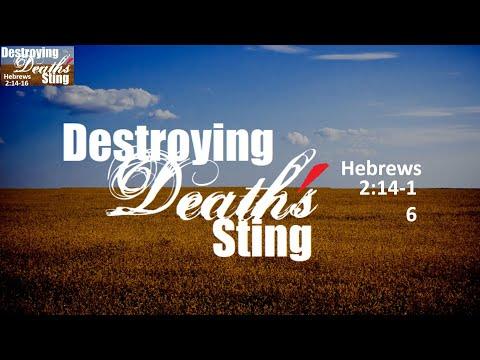 NLCC | NEWLIFE TORONTO | JULY 24 2022 | Destroying Death's Sting | HEBREWS 2:14-16