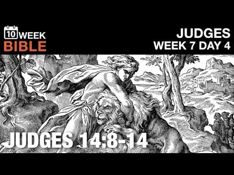 Samson Kills a Lion | Judges 14:8-14 | Week 7 Day 4