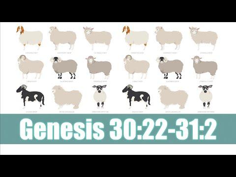 Genesis 30:22-31:2  05.07.2022