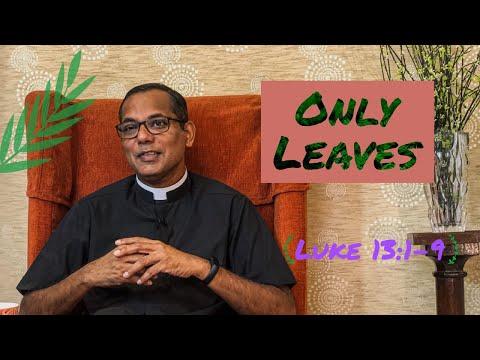 Only leaves | Luke 13:1-9