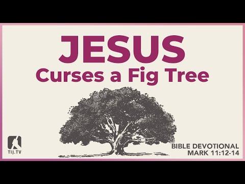 103. Jesus Curses a Fig Tree - Mark 11:12-14