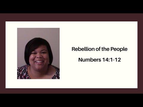 Rebellion of the People   Numbers 14:1-12
