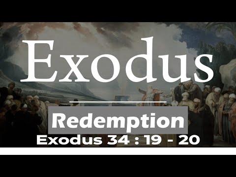 **  " REDEMPTION "   **  Bible reading - Exodus 34 : 19 - 20 **