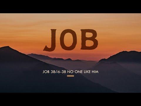 No One Like Him (Job 38:16-38)