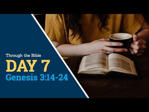 DAY 7 -- Genesis 3:14-24 -- Through the Bible, 365 Daily Scripture Meditations, reading God's Word