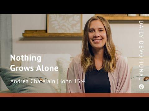 Nothing Grows Alone | John 15:4 | Our Daily Bread Video Devotional