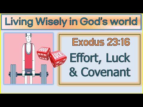 Exodus 23:16  [  Effort, Luck & Covenant  ]