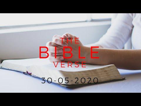 Bible Verse for today | The Bible Verse | Proverbs 19:24-29 | 30-05-2020