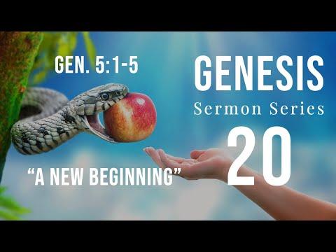 Genesis Sermon Series 20. A New Beginning. Genesis 5:1-2