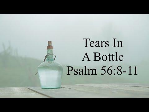 Tears In A Bottle Psalm 56:8-11 Faith Over Fear with Audra Devotional