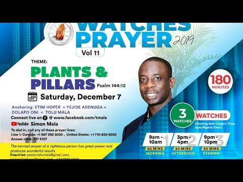 Watches Prayer - Watch 2 "Plants and Pillars" Psalm 144:11-15. Tolu Mala and Dolapo Oni.