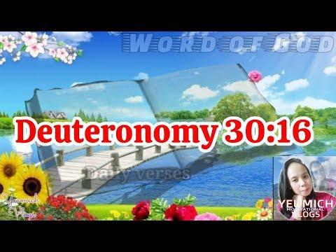 Deuteronomy 30:16 || Word of God