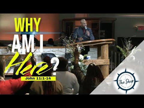 Why Am I Here? John 11:1-14