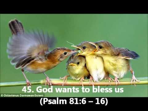 45. God wants to bless us (Psalm 81:6-16)