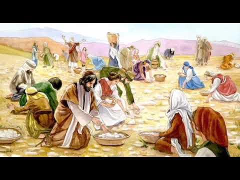 Nyame Som Pa: True Christianity (Exodus 16:22-30)
