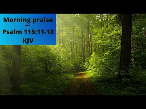Psalm 115:17-18 KJV  bible verse for praise. praise God and fight depression while you praise.