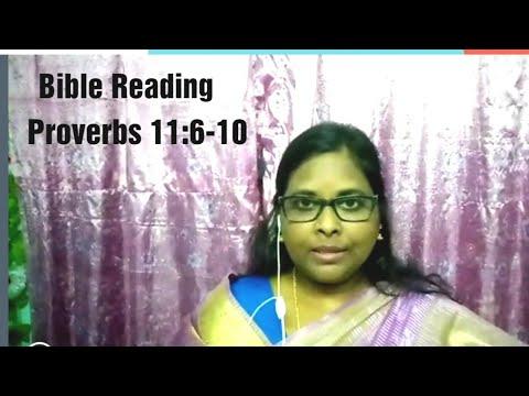 29.08.2020, Bible Reading. Proverbs 11:6-10