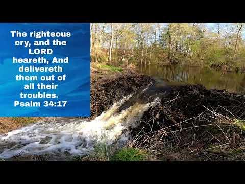 Beaver Dam Removal! || #Psalms 34:17-19