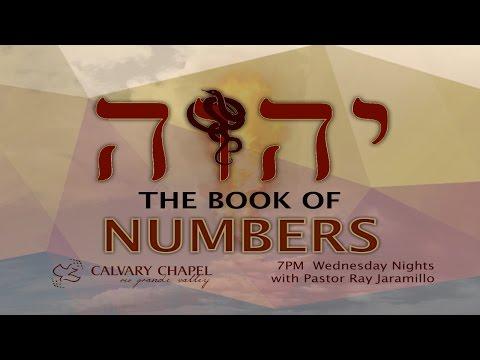 CCRGV: Numbers 18:8-19:22 Dealing with God's Servants