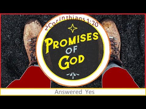 God's Promises Are All Yes In Jesus | 2 Corinthians 1:20 | The Promises of God | Words of Grace