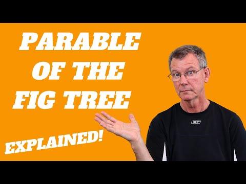 The Parable Of The Fig Tree Explained | Parables of Jesus Explained | Luke 13: 6-9
