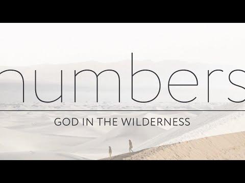 15 November 2020 Livestream | Numbers 6:1-21 - "Holy Commitment"  - Paul McIntosh
