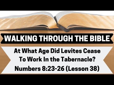 At What Age Did Levites Cease To Work In the Tabernacle? [Numbers 8:23-26][Lesson 38][WTTB]