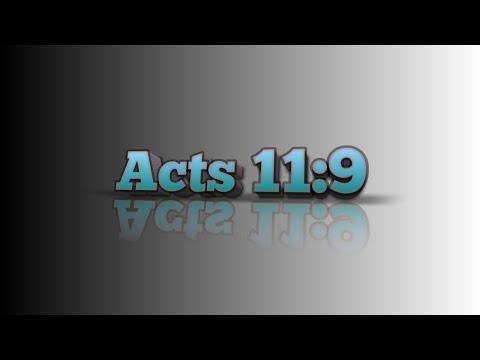 Bible Verse ll Acts 11:9 ll You are clean!