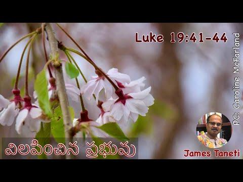 విలపించిన ప్రభువు/Luke 19:41-44/Palm Sunday/Telugu Christian Sermons