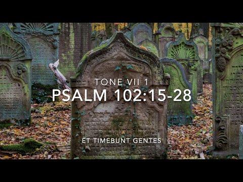 Psalm 102:15-28 – Et timebunt gentes